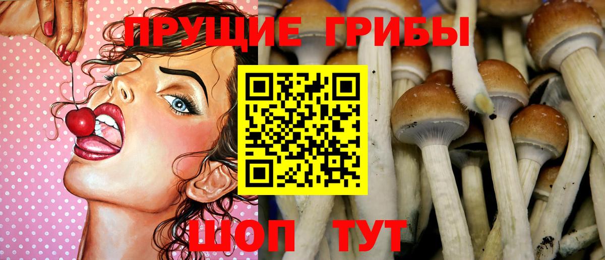 Псилоцибиновые грибы Magic Shrooms  Вход с VPN  Галлюциногенные грибы прущие грибы  Кимовск 